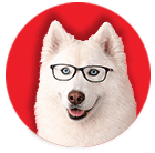 Max - registration help